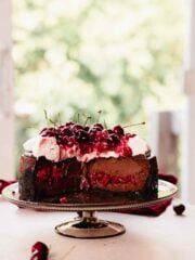 black forest cheesecake with cherries, whipped cream, and ganache