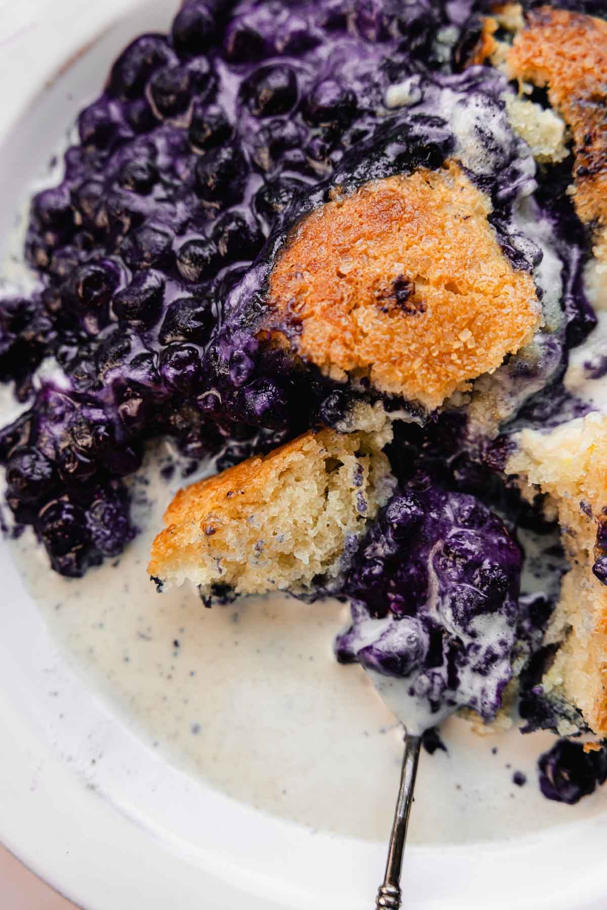 blueberry lemon cream cheese cobbler with ice cream