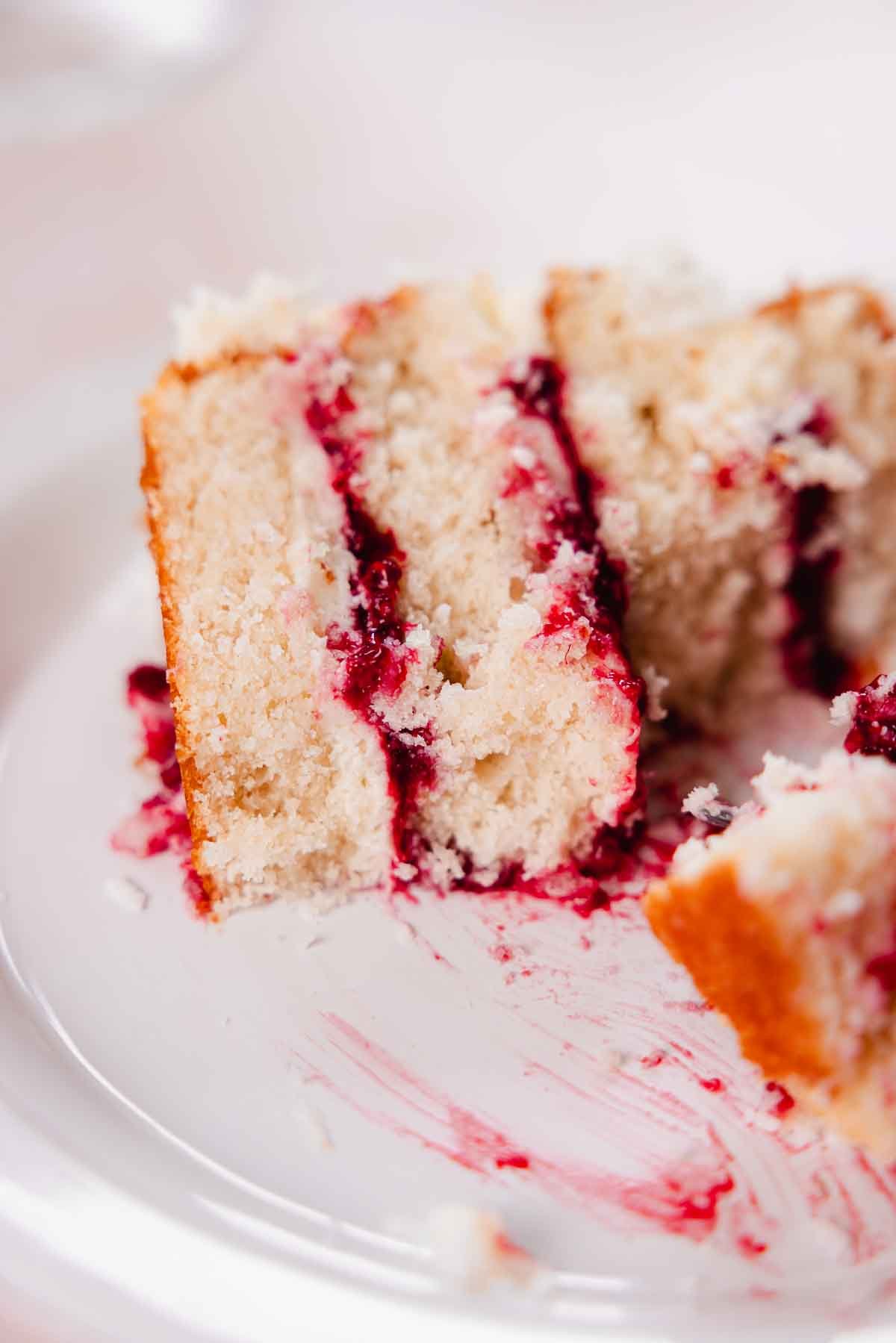 bitten coconut raspberry cake on a plate closeup soft texture