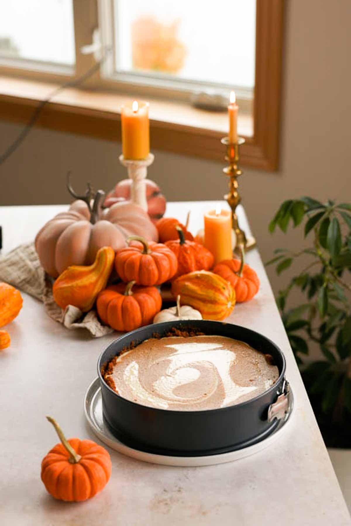 baked and cooled pumpkin pie cheesecake in springform pan