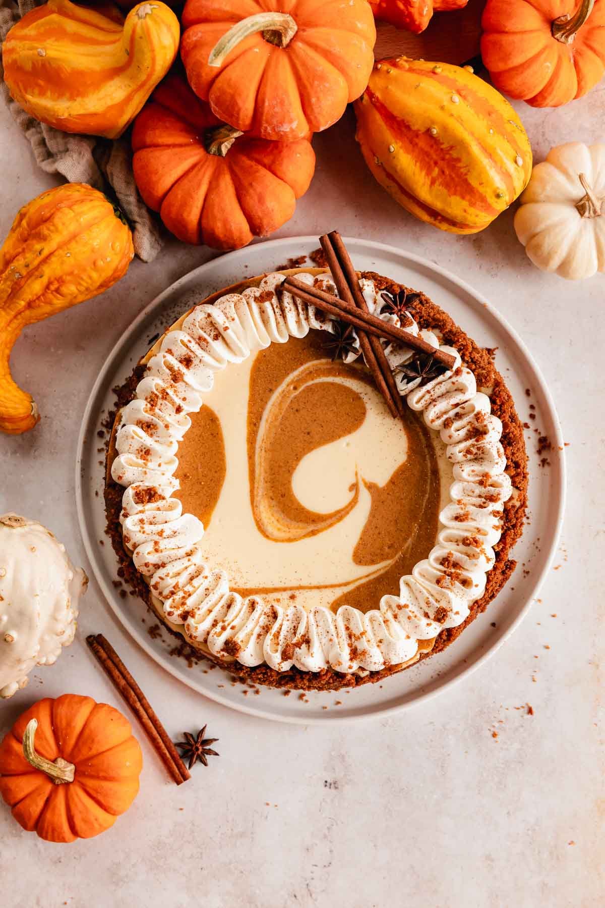 pumpkin pie cheesecake with whipped cream
