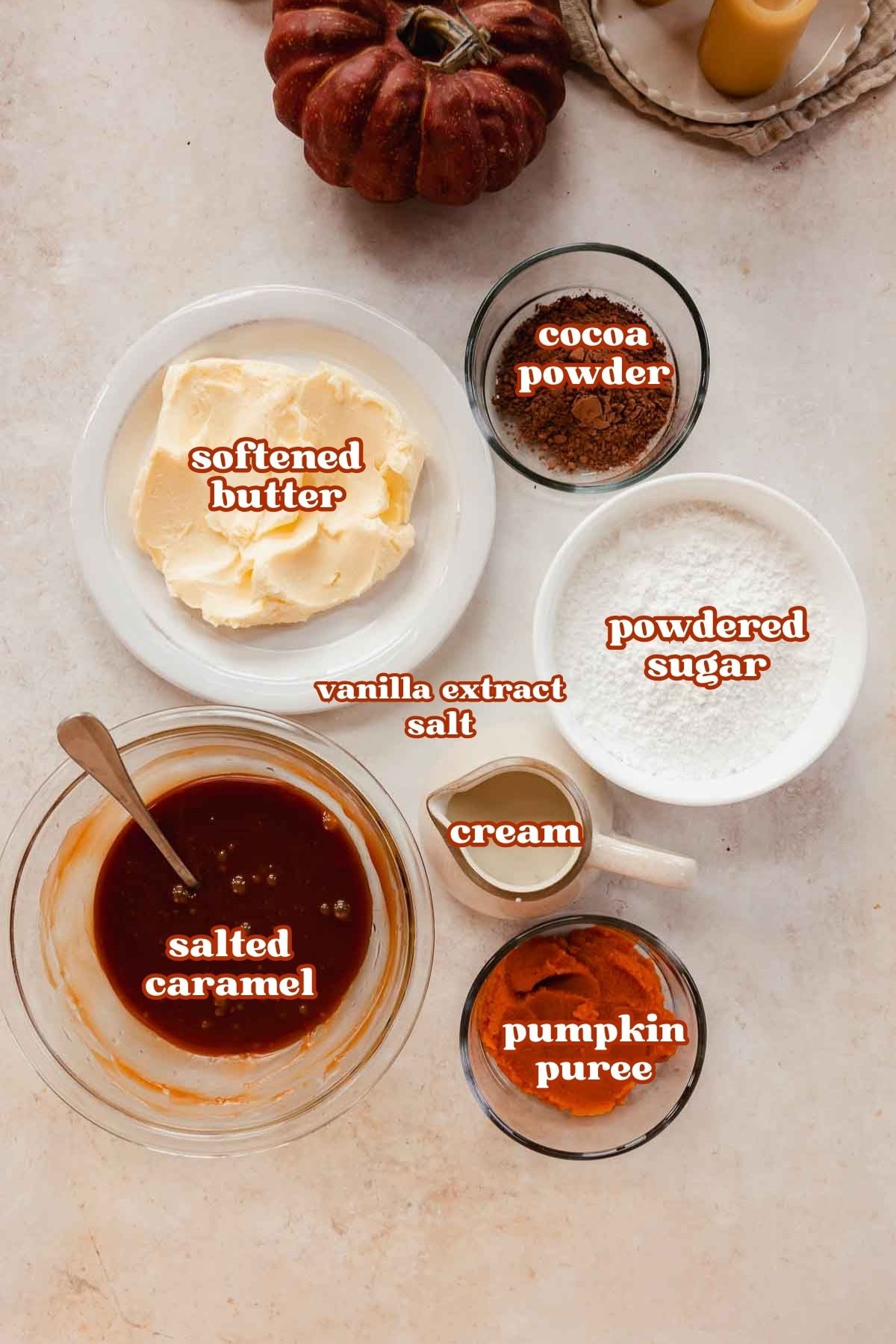 ingredients for pumpkin chocolate cake in bowls