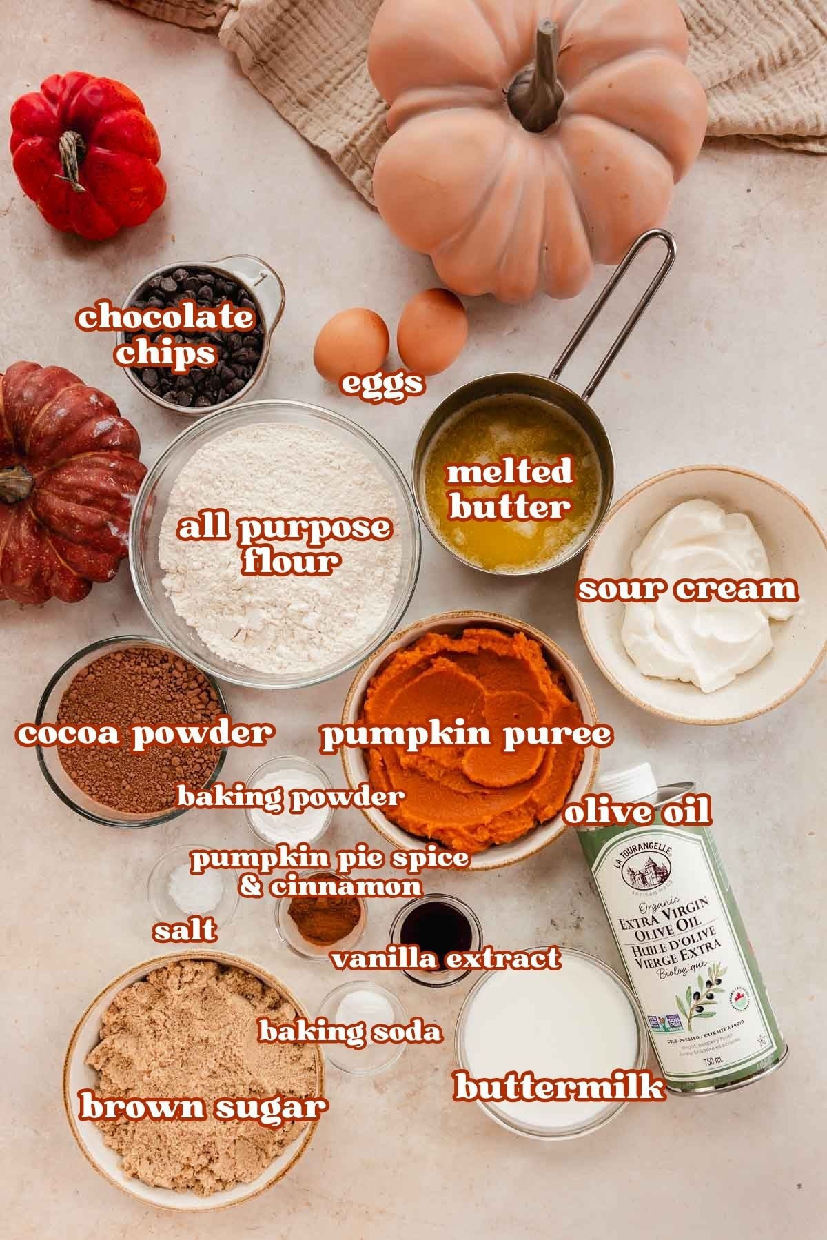 ingredients for chocolate pumpkin cake in bowls