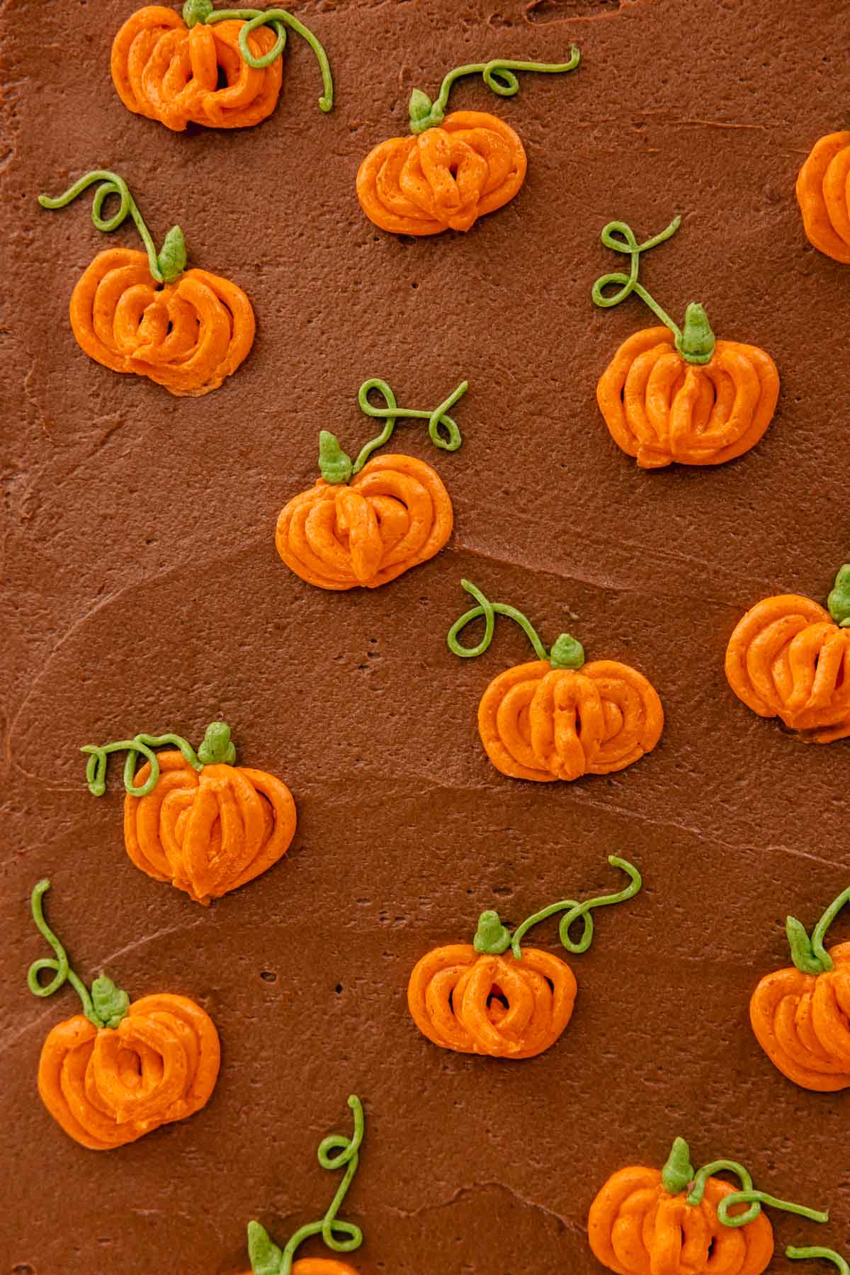 piped pumpkins on chocolate frosting