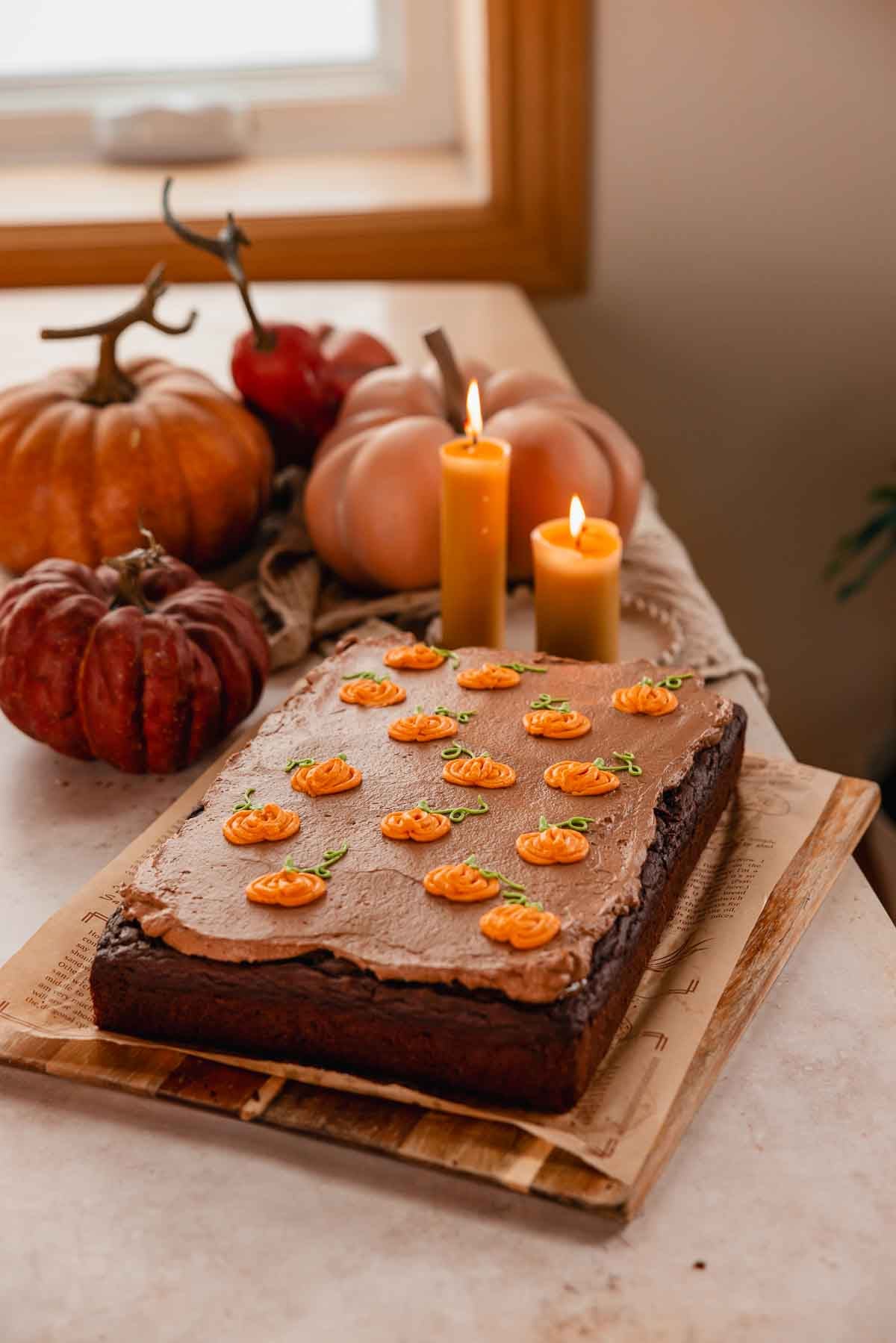 chocolate pumpkin sheet cake decorated with piped pumpkins